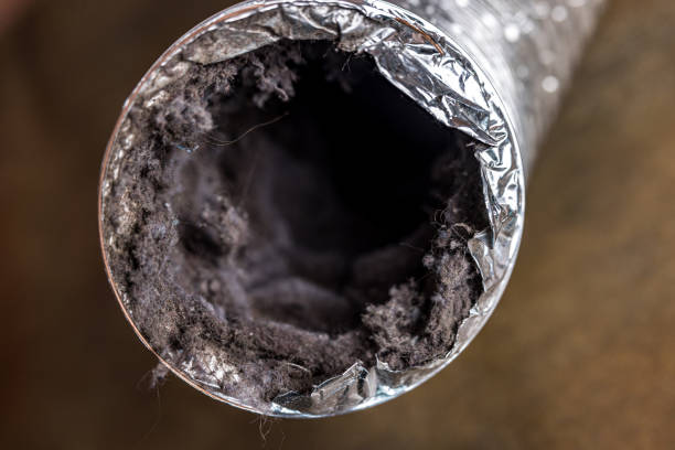 Best HVAC System Cleaning  in Cuero, TX